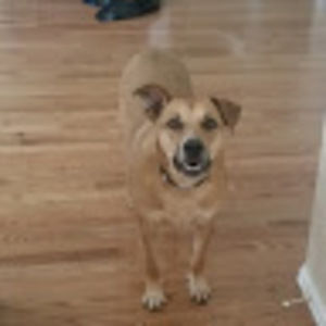 Meet your Posher, Rob